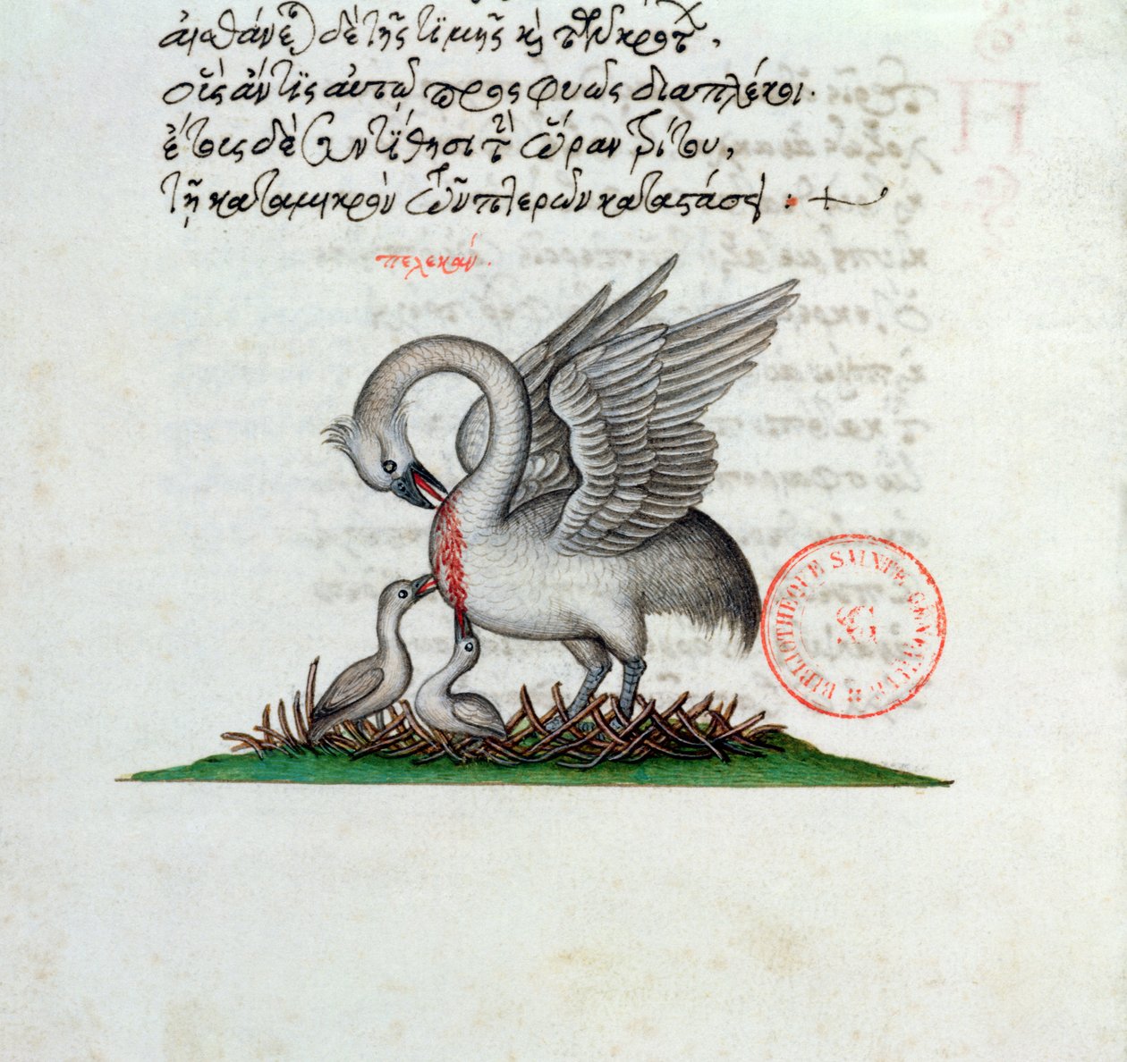 A Pelican Piercing its Breast to Feed its Young, from a Bestiary by Manuel Philes, 1566 by Greek School