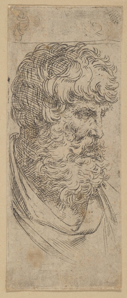 Bust of a bearded man, ca. 1600-1640 by Guido Reni