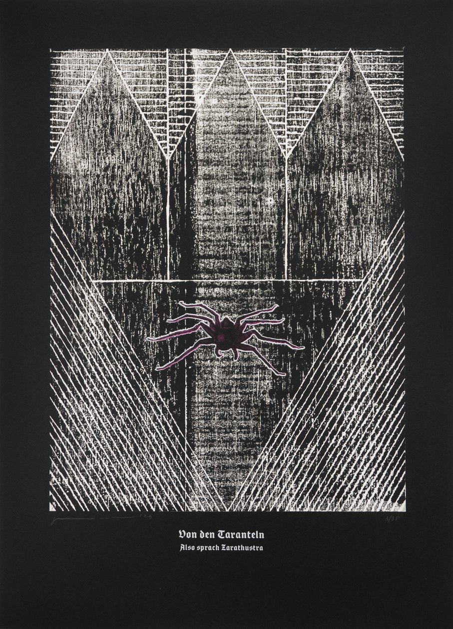 On The Tarantula, Thus Spoke Zarathustra by Guilherme Pontes