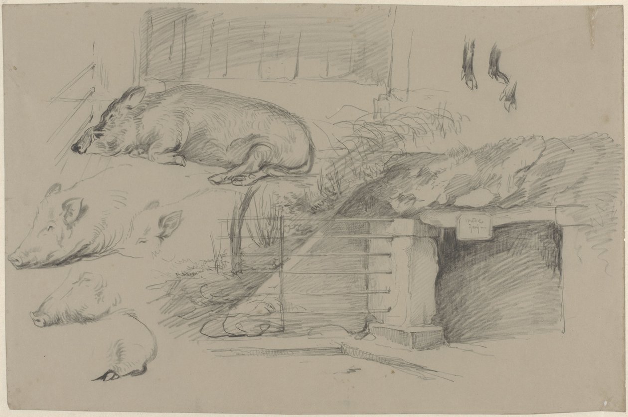 Sketch Sheet with Studies of Pigs in the Wild Boar Park in Artis by Guillaume Anne van der Brugghen