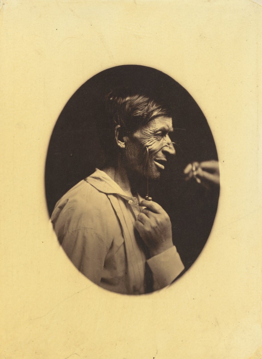 Gaiety Expressed by the Ideas of Lustfulness, Cynicism and Lewdness by Guillaume Benjamin Amant Duchenne