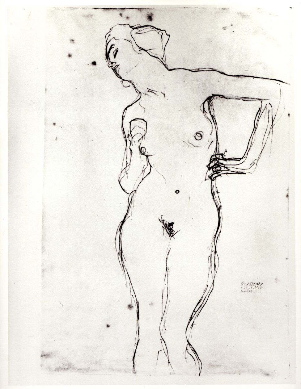 Nude by Gustav Klimt