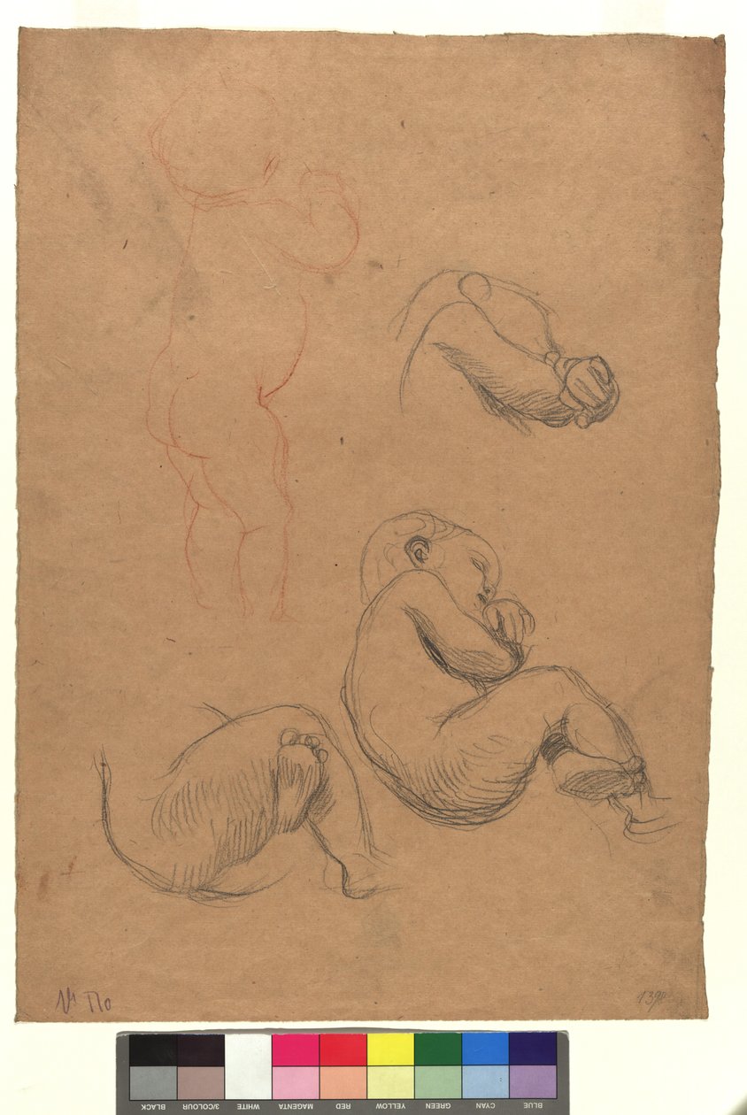 Four Studies of Children