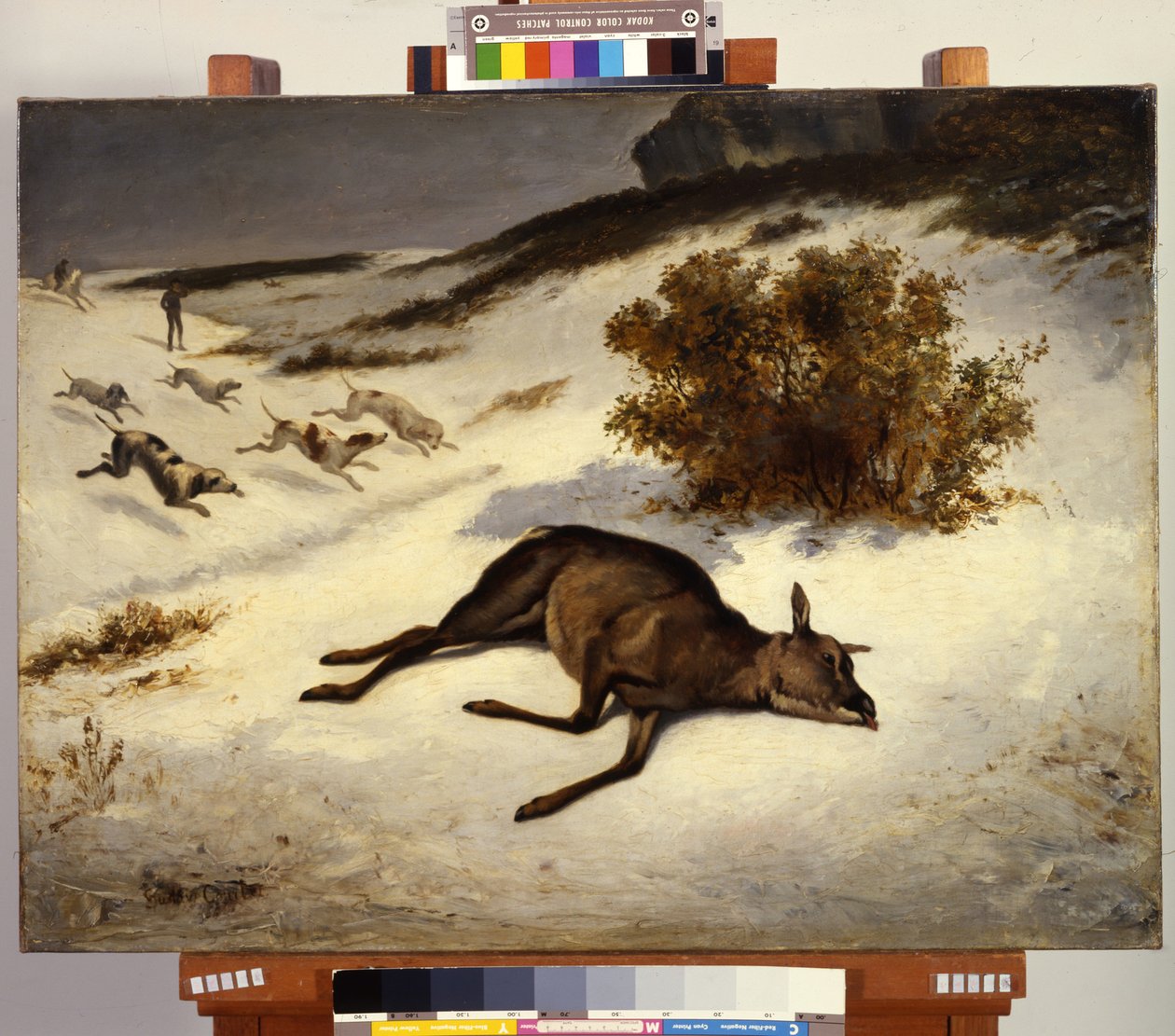 Hind Forced Down in the Snow by Gustave Courbet