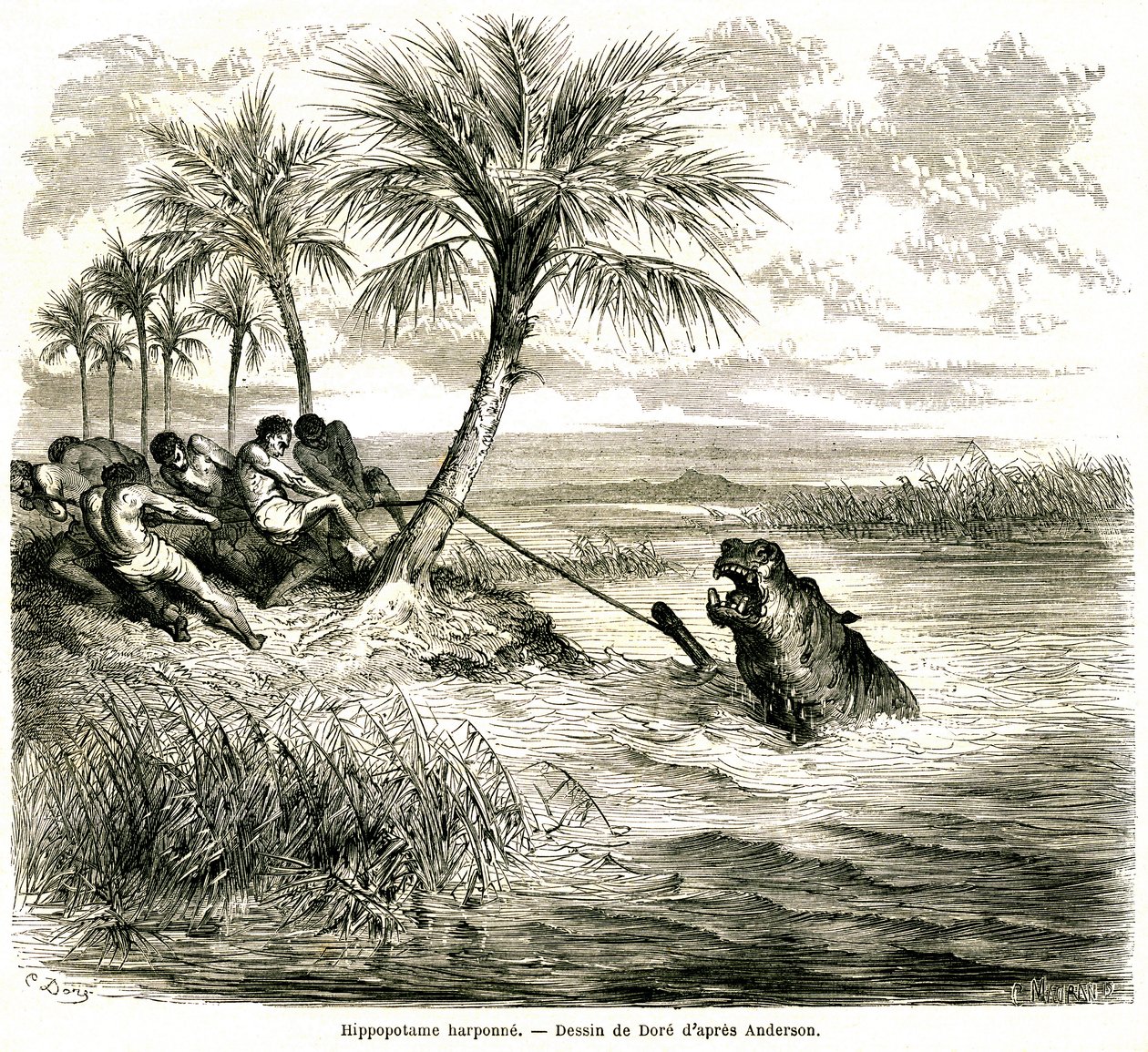Hunting on the river Teoghe, tributary of the Ngami. Hippo harpoon. Engraving by Gustave Dore illustrating 