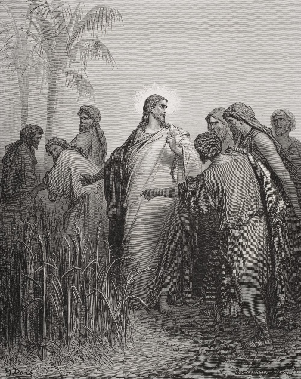 Jesus and His Disciples in the Corn Field, Illustration from Dore's ...