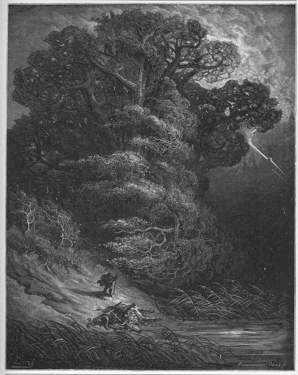The Oak and the Reed - from 