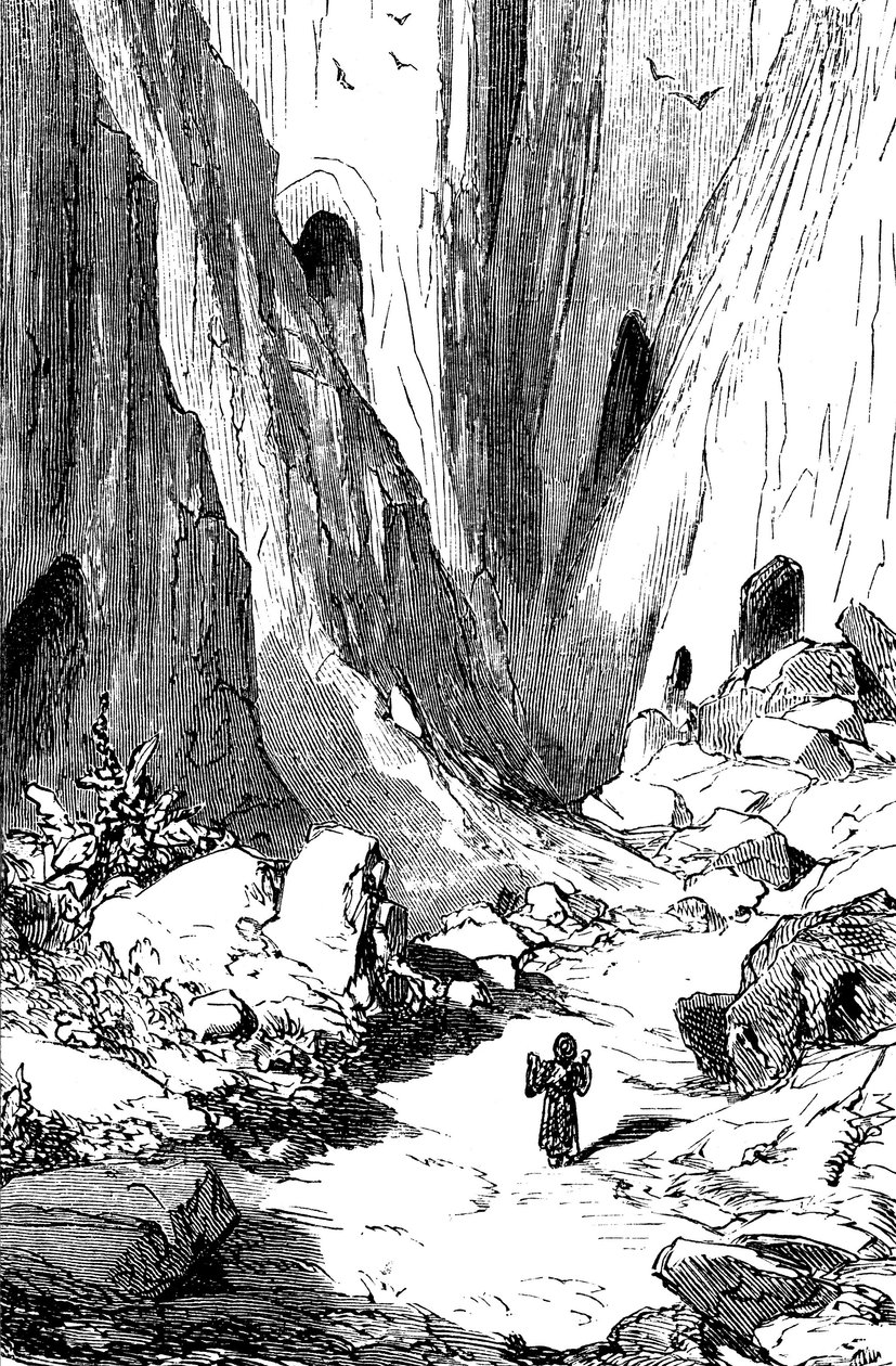 Sindbad the sailor (Sinbad) - tale of the thousand and one (1001) nights - illustration by Gustave Dore - edition Maxwell 1865 - Second voyage: Sindbat discovers a valley with diamonds, but which is unfortunately occupied by giant snakes. He will take refu by Gustave Dore