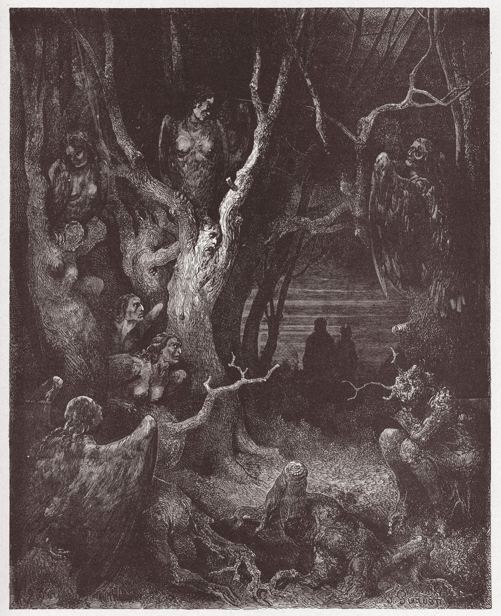 The Divine Comedy, Inferno, Canto 13: The Harpies in the forest of suicides - by Dante Alighieri - Illustration by Gustave Dore by Gustave Dore
