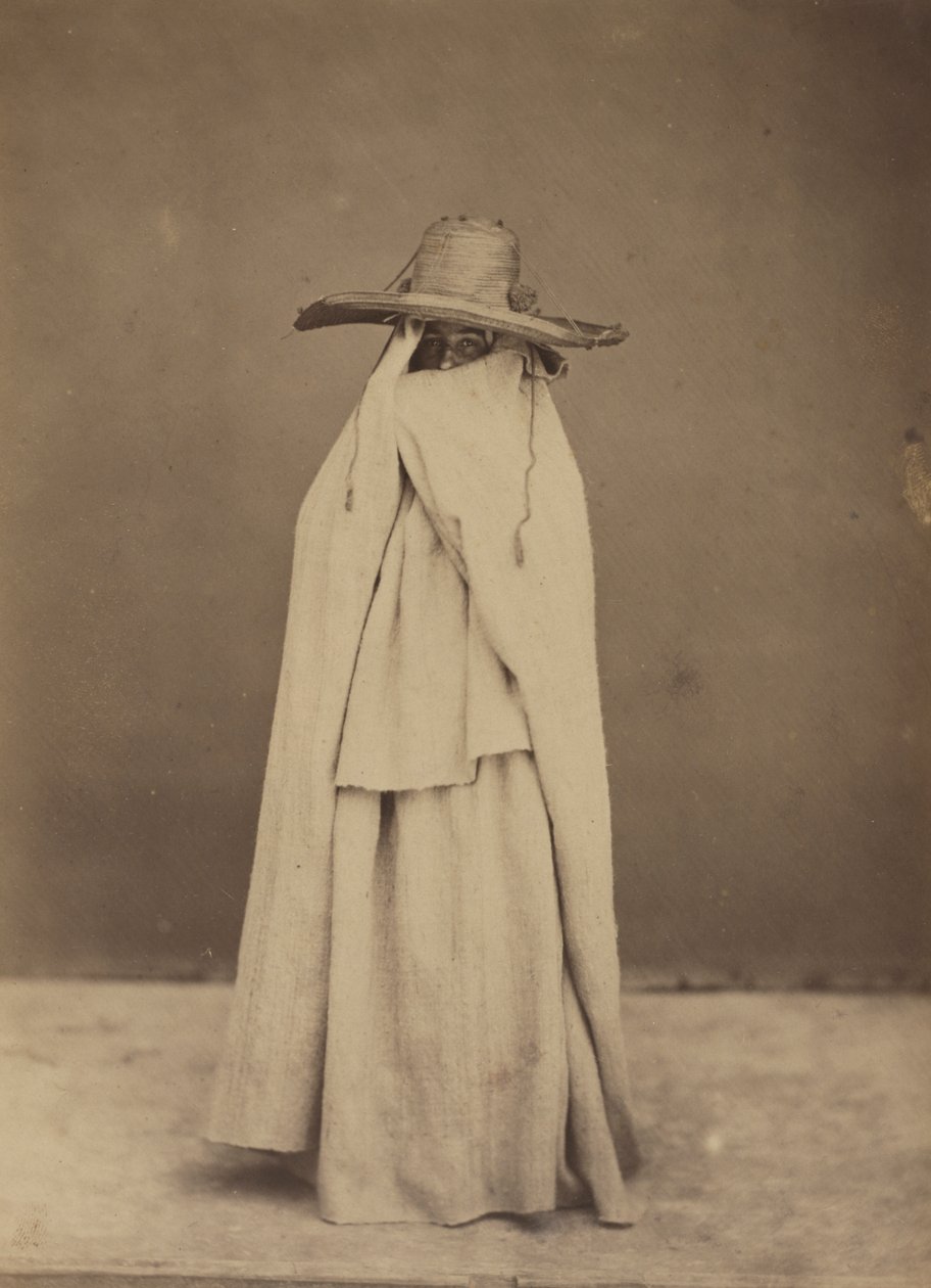 Algerian Woman by Gustave de Beaucorps