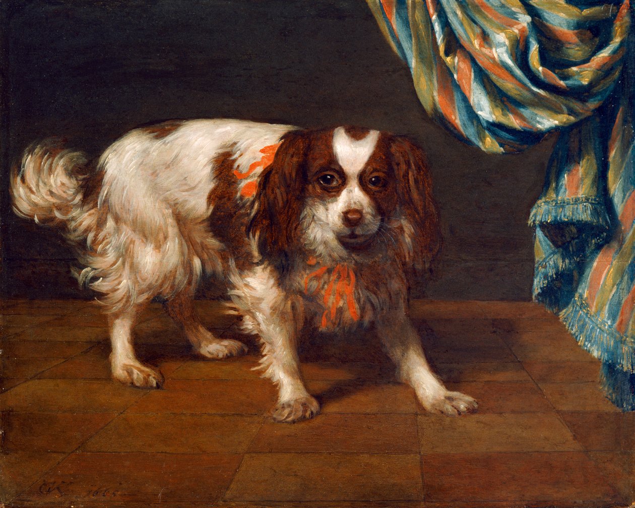 A King Charles Spaniel by Gysbert van de Kuyl