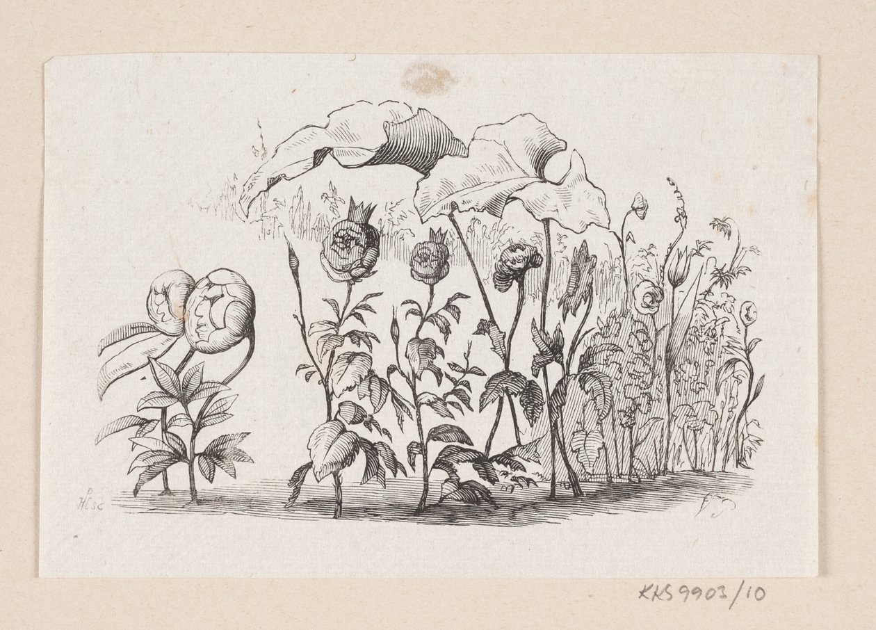 Illustration for 