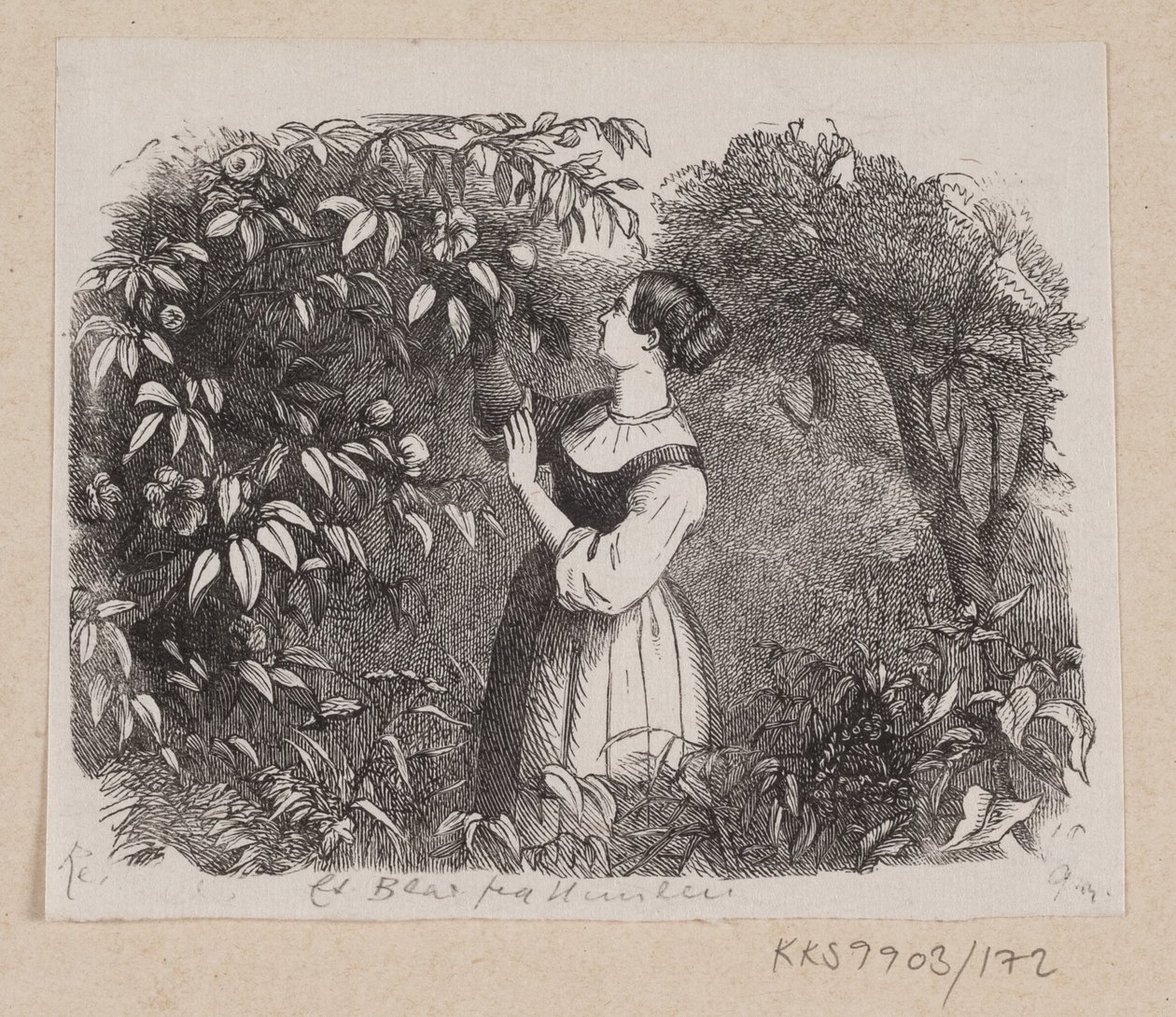Illustration for "A Leaf from Heaven" in H.C. Andersen, "Fairy Tales and Stories", Volume 2 by H.P. Hansen