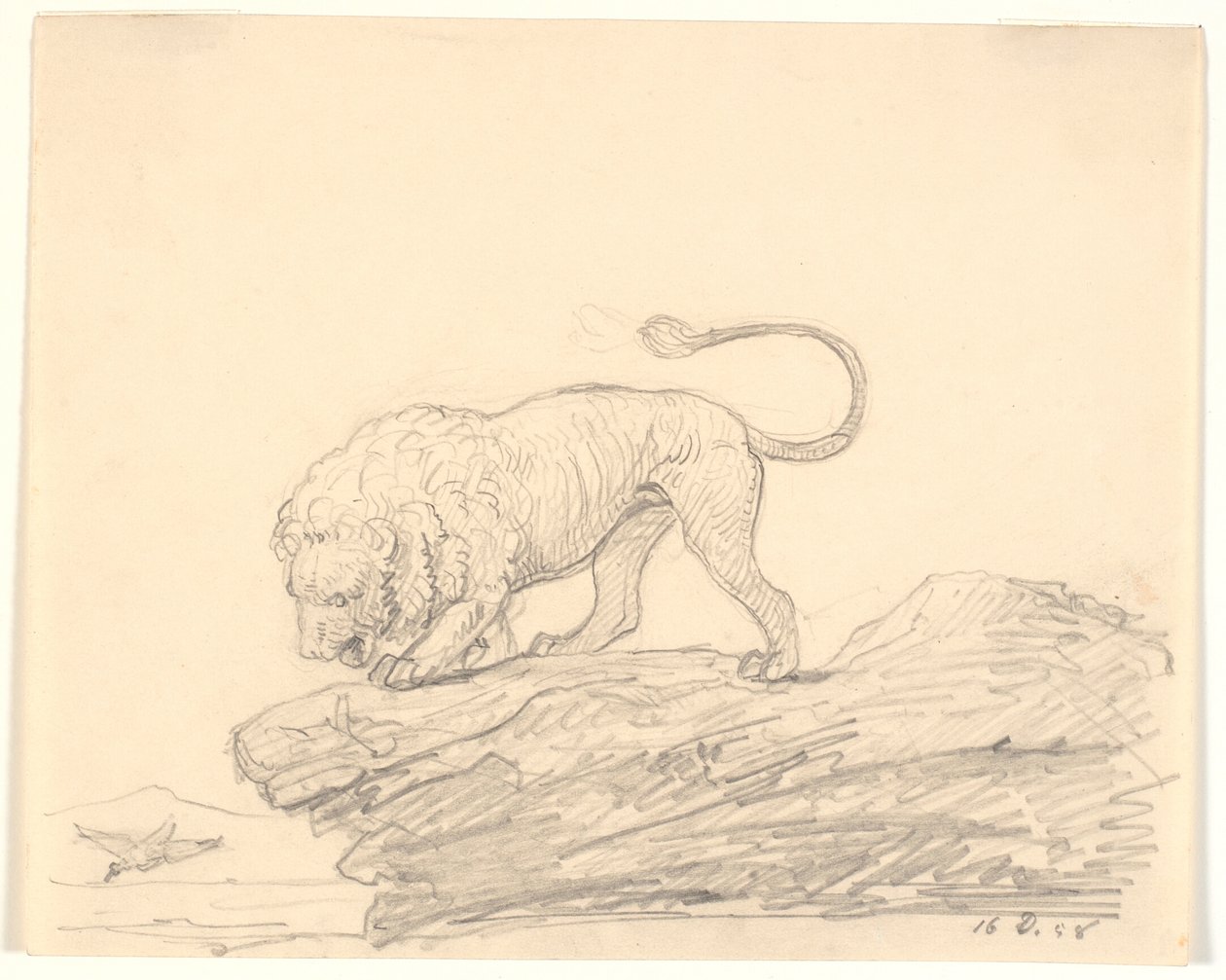 A Lion on a Rock. It Watches a Passing Bird by H.W. Bissen