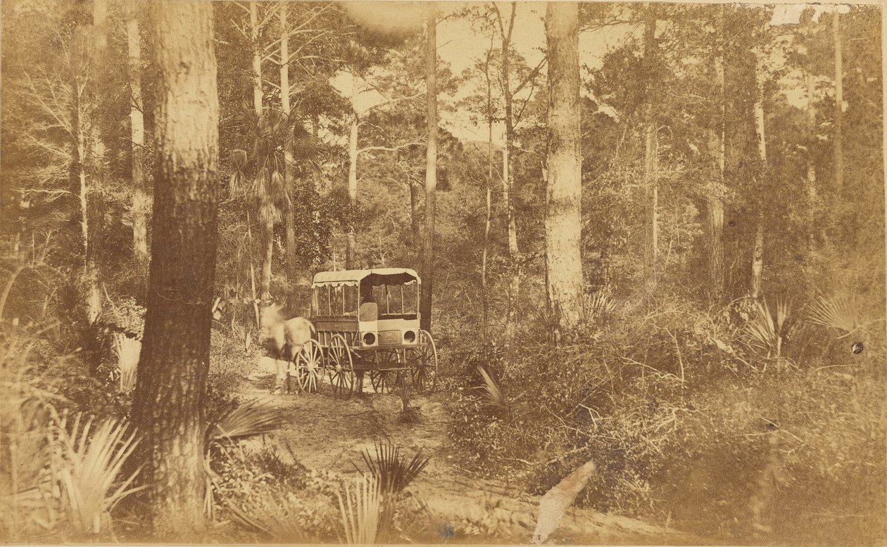 Scene on Folly Island by Haas and Peale