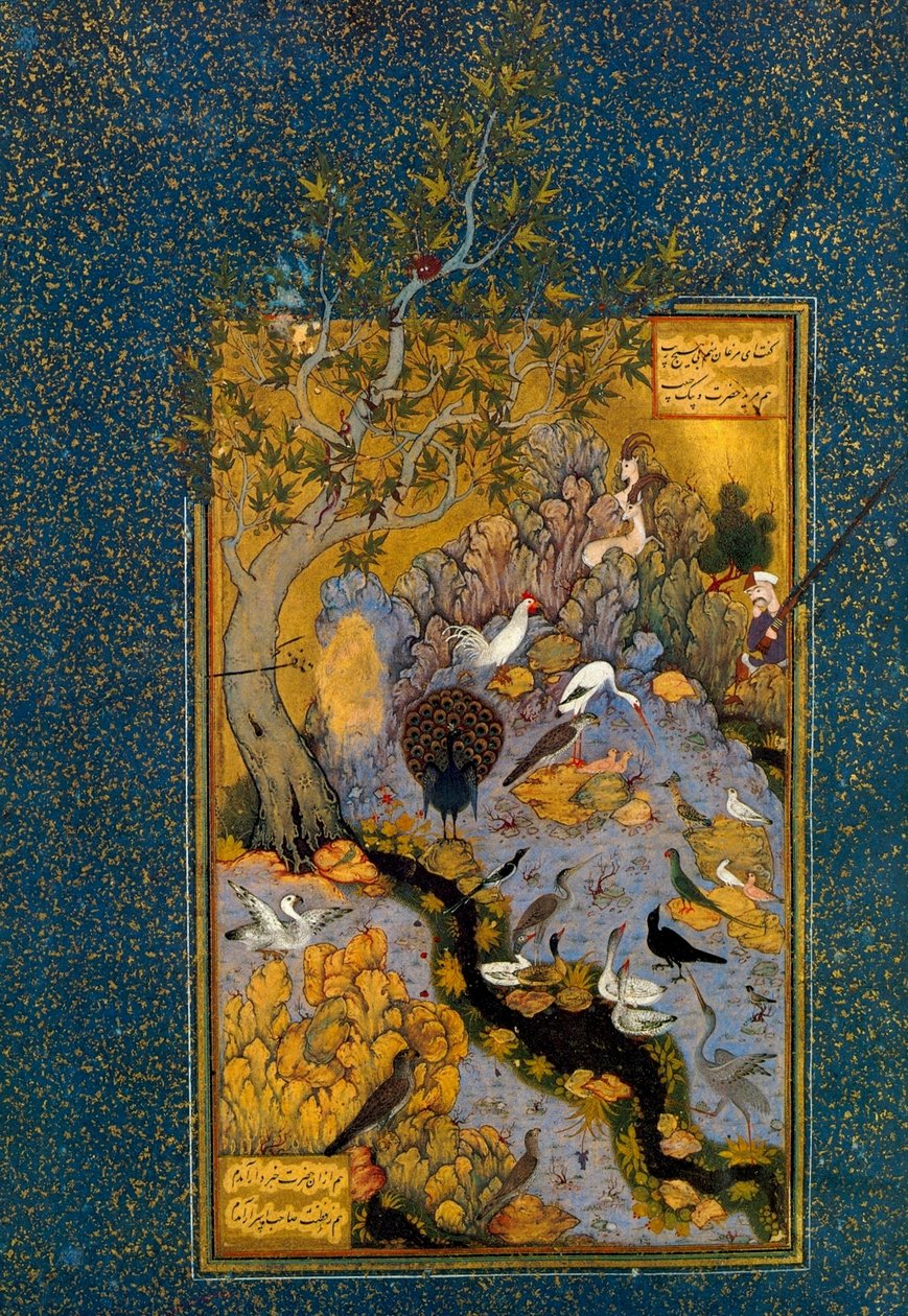 Folio from Mantiq al-Tayr, The Language of the Birds, by Attar, c1600 by Habib Allah
