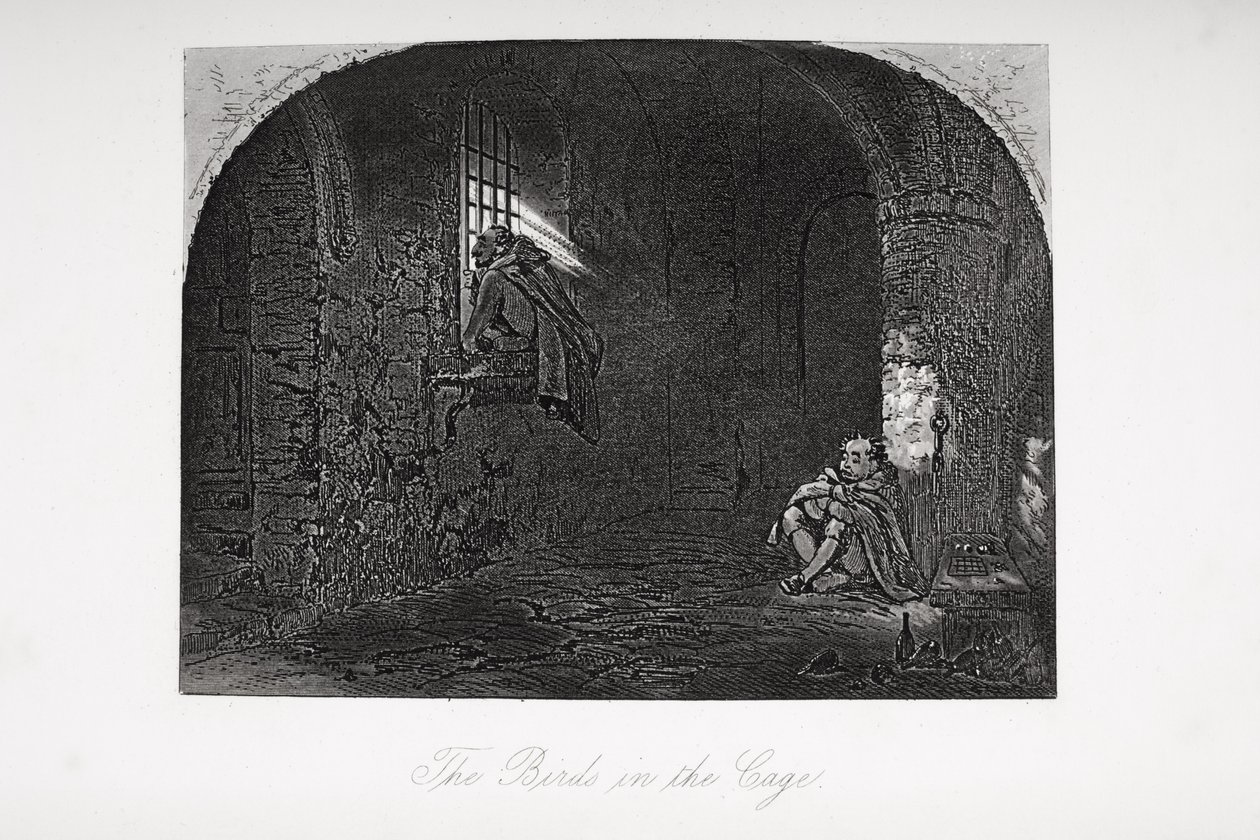 The Birds in the Cage, Illustration from 