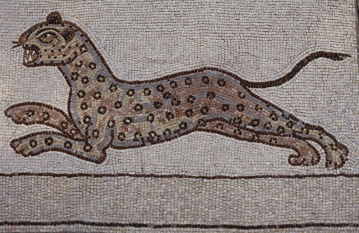 A leopard by Hans Leonard Schaufelein