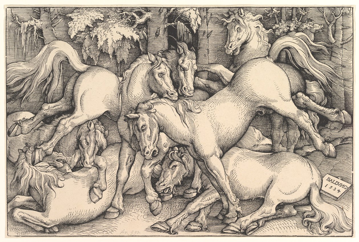 Group of Seven Horses by Hans Baldung