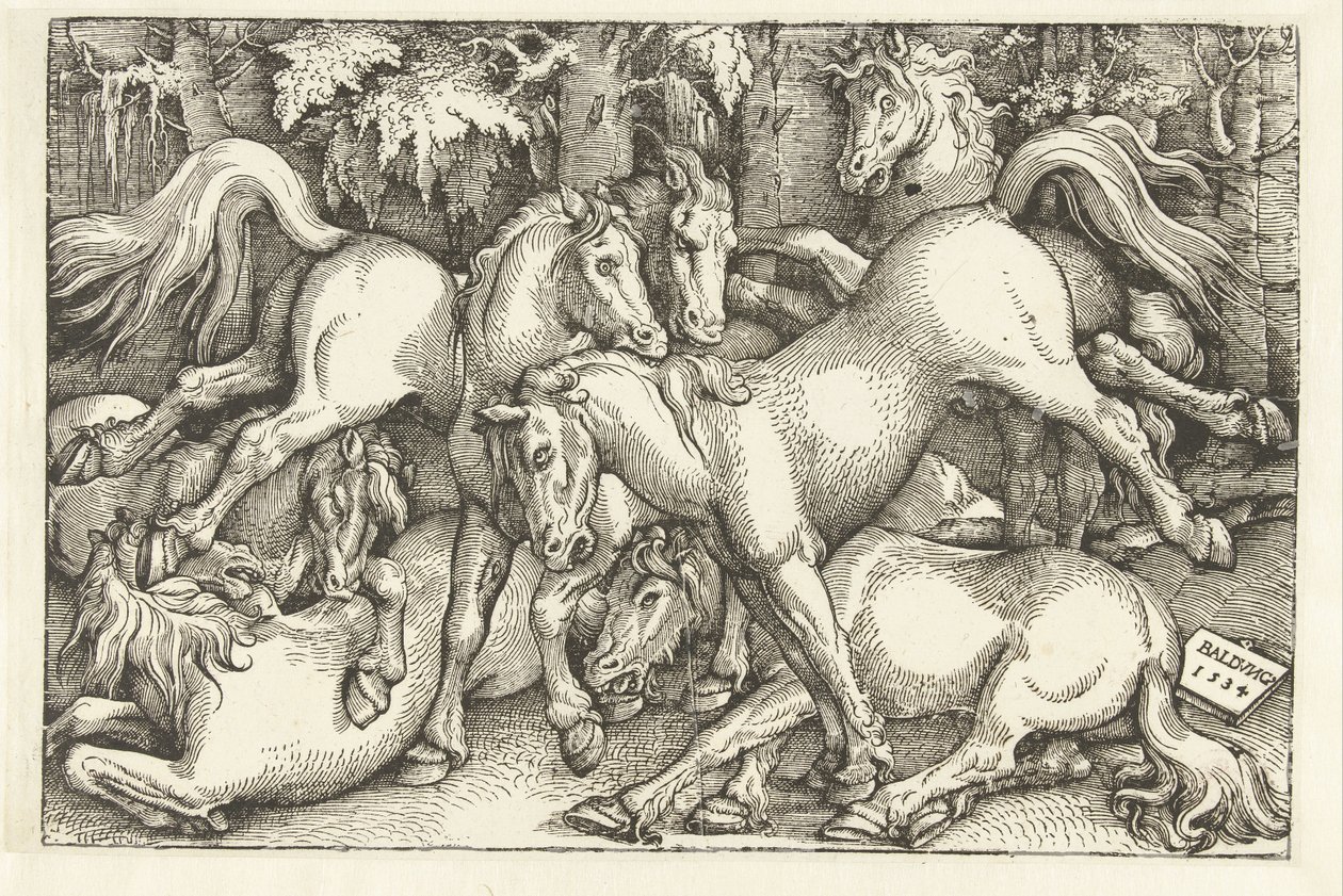 Group of Seven Fighting Horses by Hans Baldung Grien