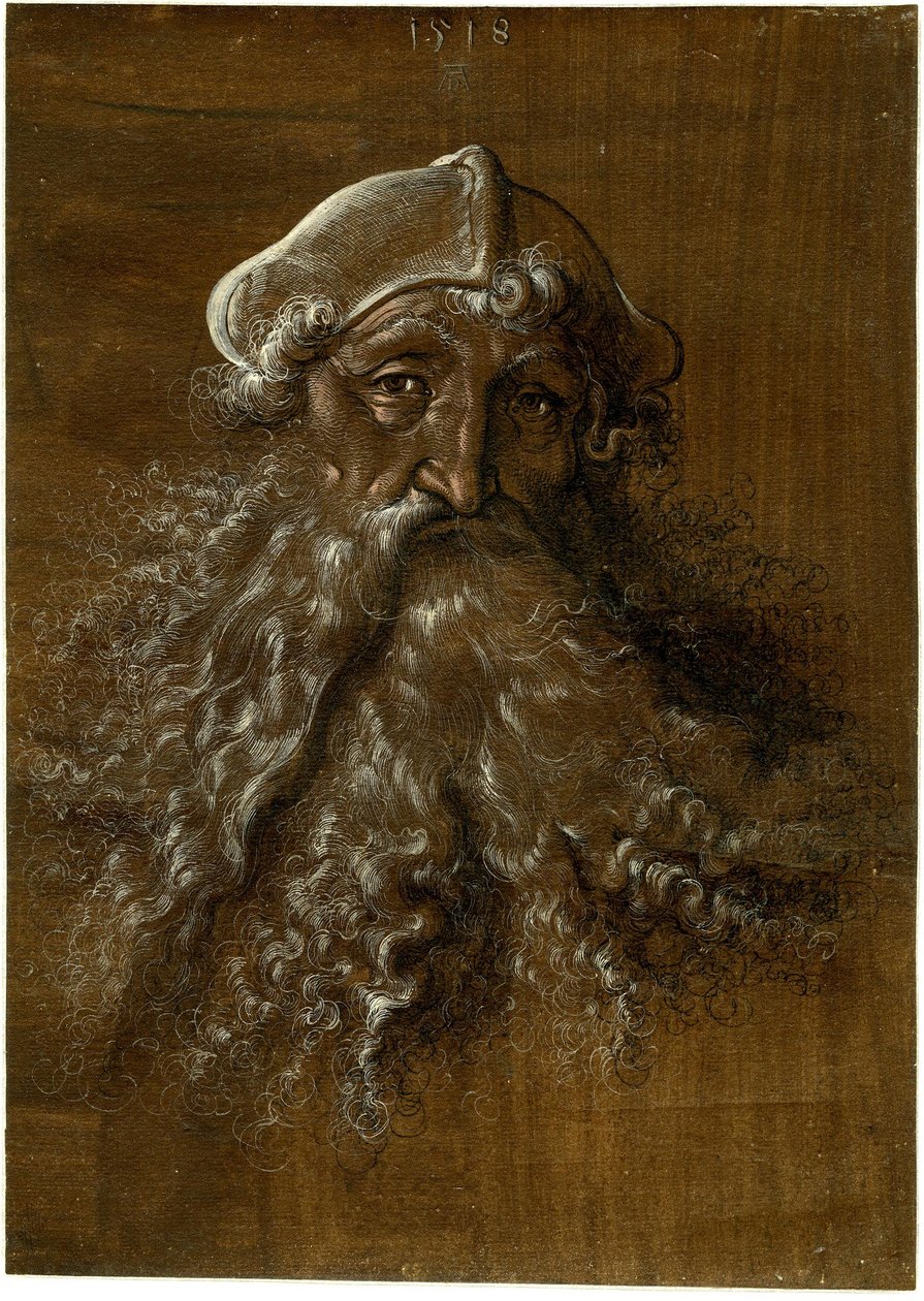 Head of an Old Man with a Heavy Beard by Hans Baldung Grien