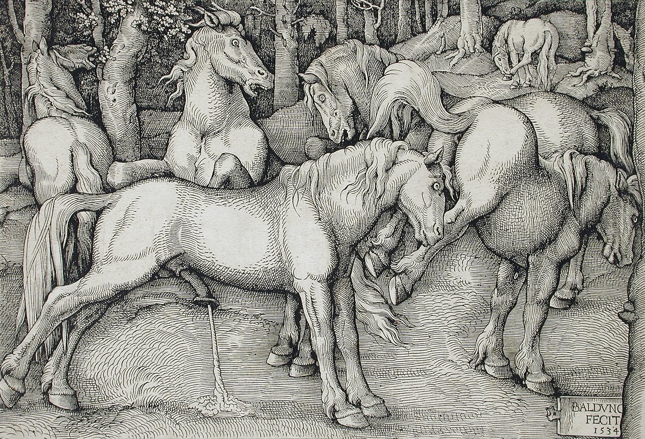 Stallion and Mare in a Group of Wild Horses in the Forest by Hans Baldung Grien