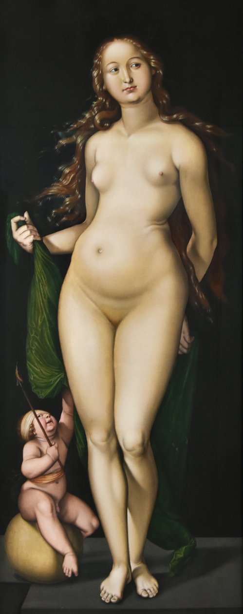 Venus and Amor by Hans Baldung Grien