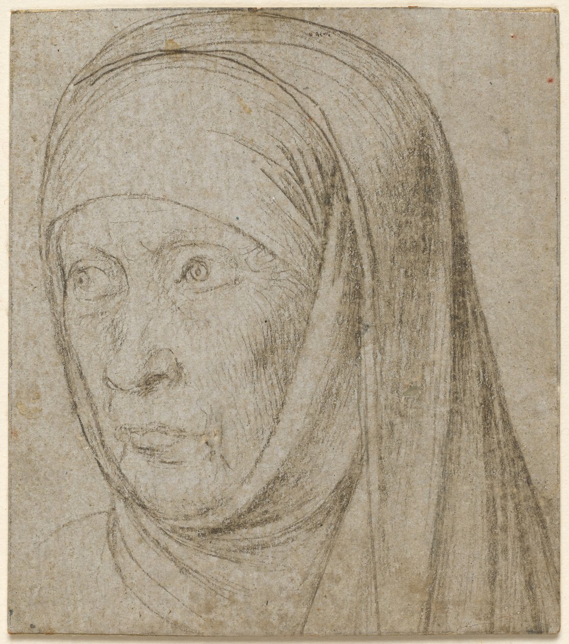Head of an Old Woman by Hans Holbein