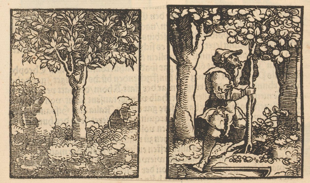 Tree and Depiction of a Fruit Picker Among Trees by Hans Schäufelein (possibly)