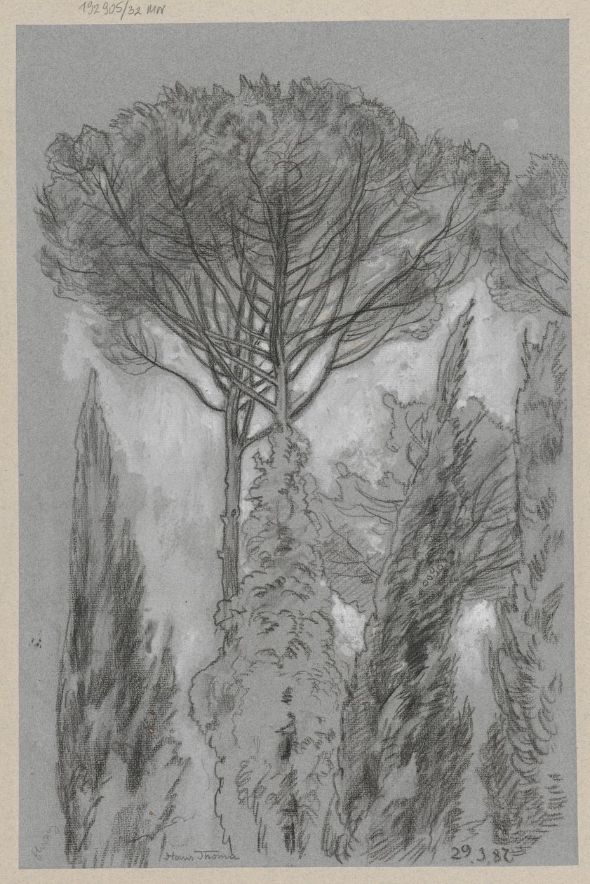 Trees in Florence by Hans Thoma