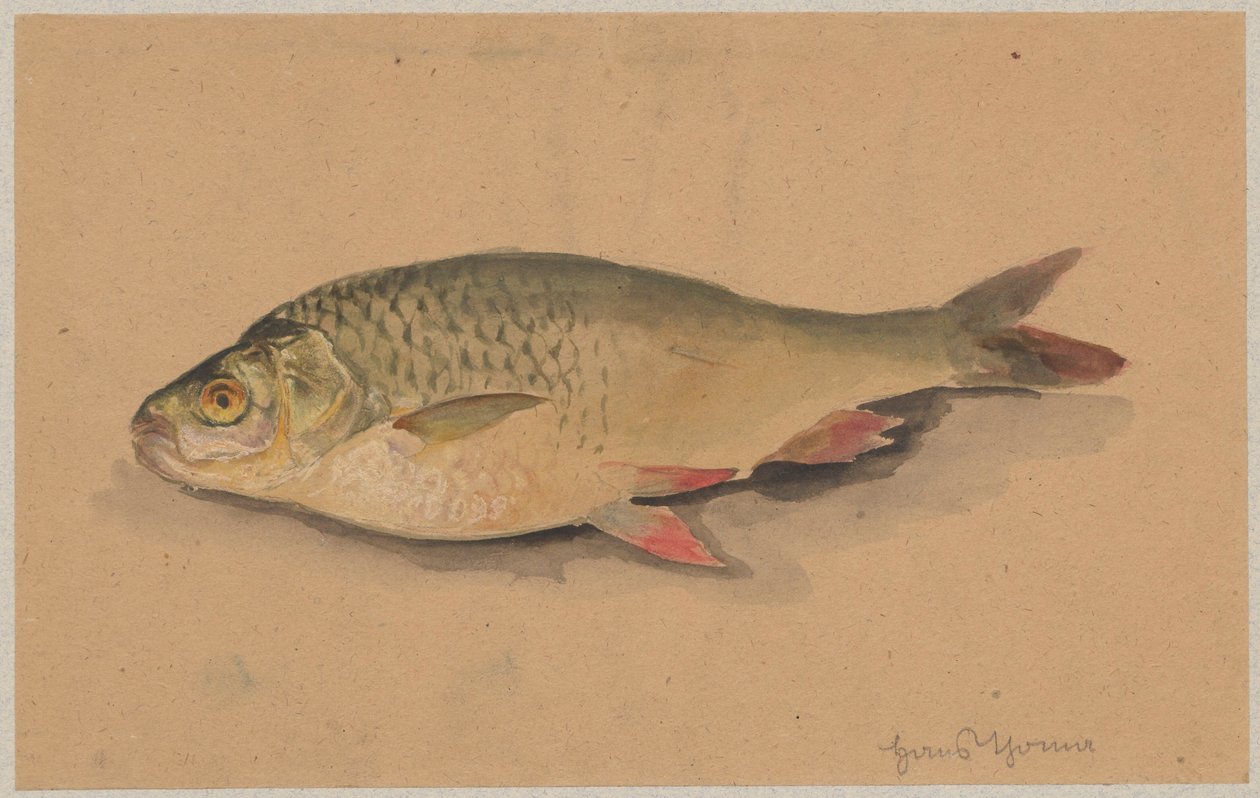 Ryba by Hans Thoma