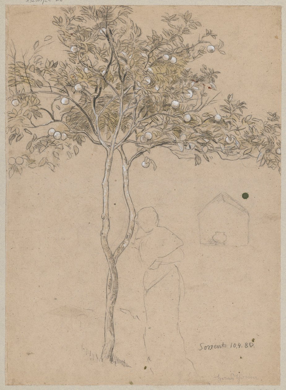 Study of an Orange Tree from the Sorrento Area. Outline of a Female Figure by Hans Thoma