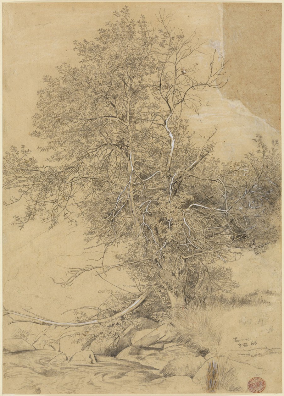 Willow by the Stream by Hans Thoma
