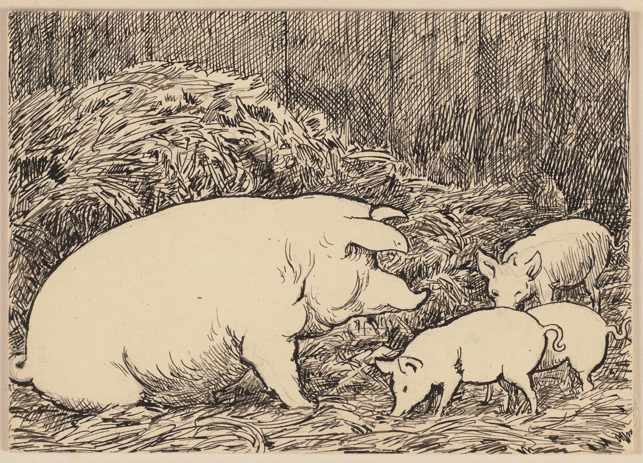 Drawing for the Primer: Pig by Hans Thoma