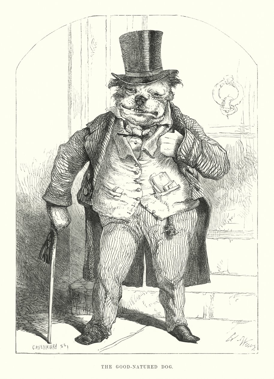 Funny Dogs: The Good-Natured Dog by Harrison William Weir