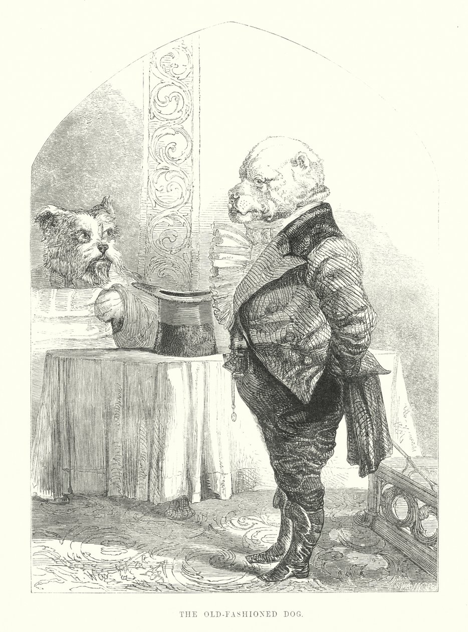 Funny Dogs: The Old-fashioned Dog by Harrison William Weir