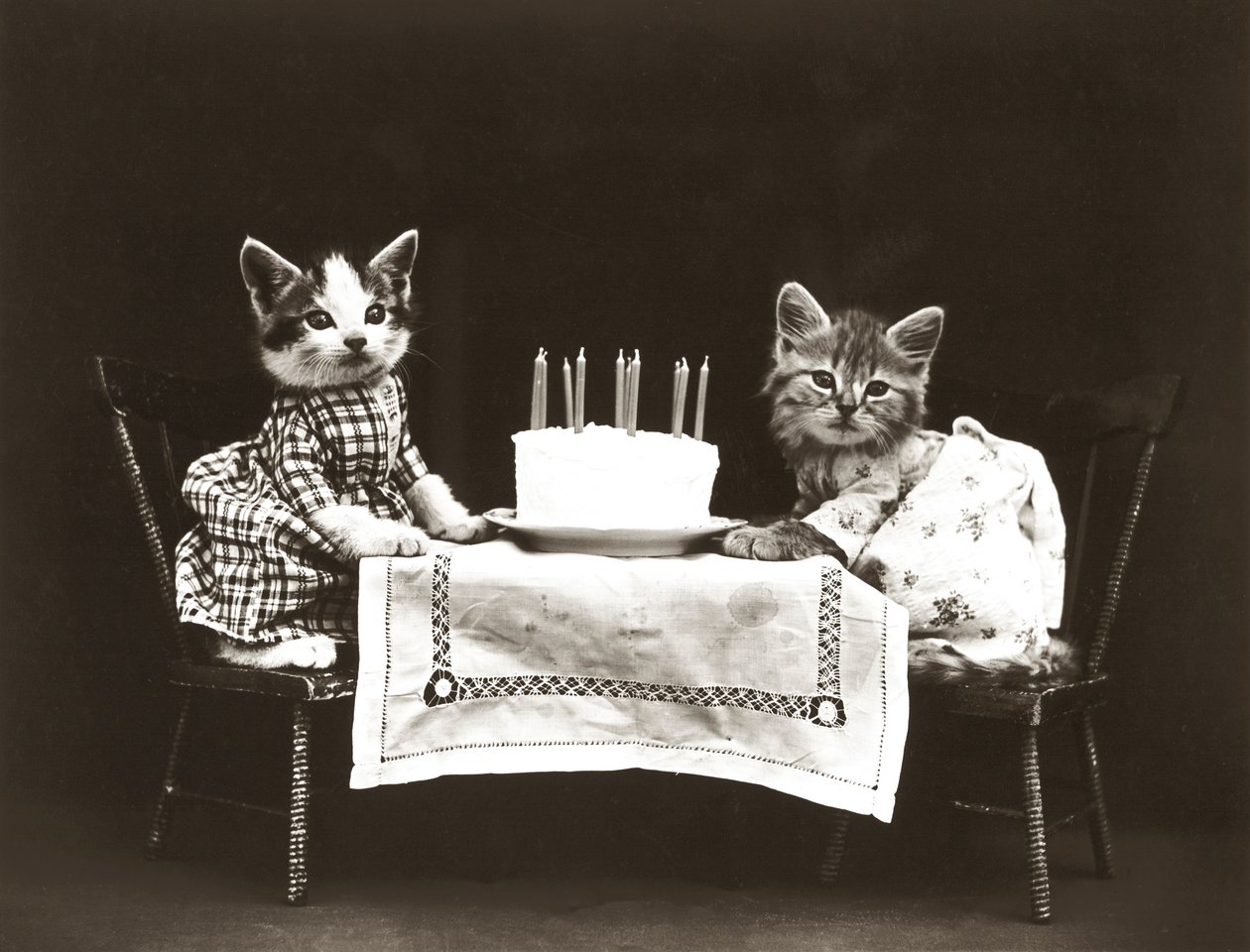 Kitties Series: Birthday Party, c.1914 by Harry Whittier Frees