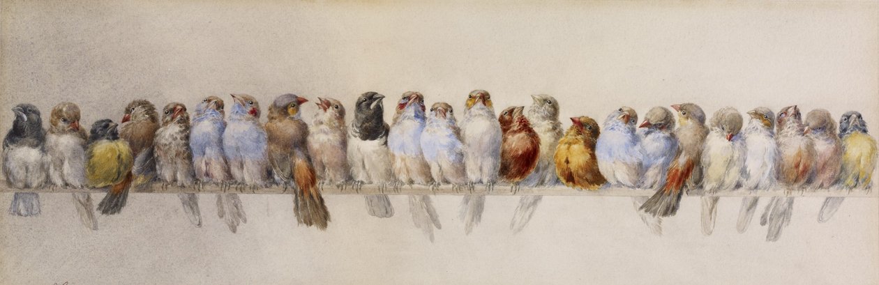A Perch of Birds, c.1880 by Hector Giacomelli