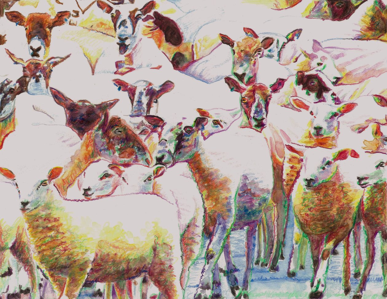 Flock, 2011 by Helen White