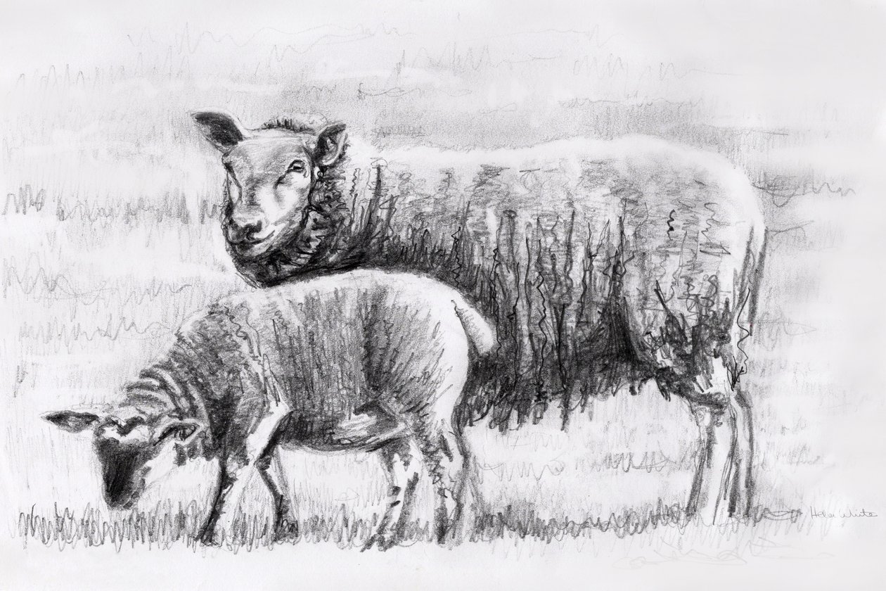 Pair, 2018 by Helen White