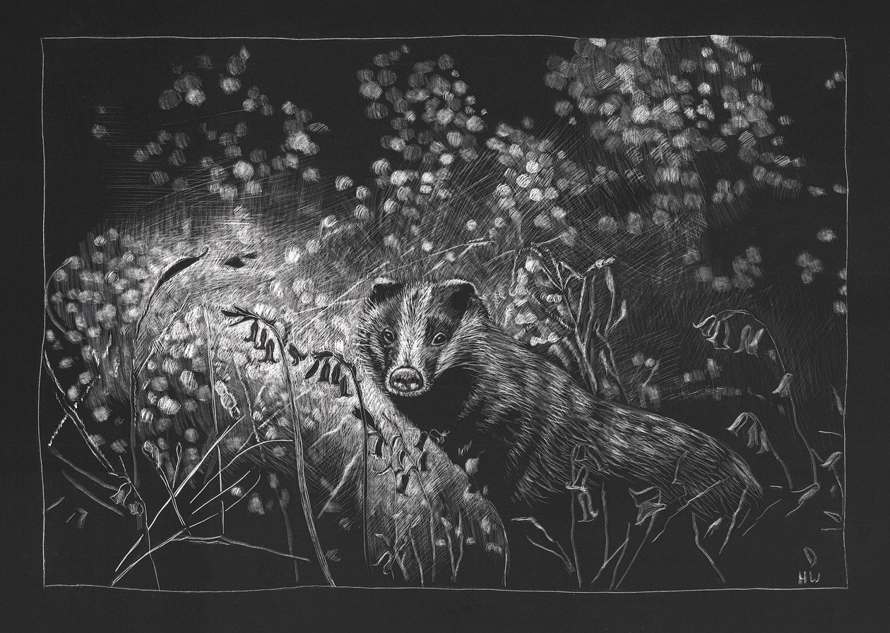 Spring Badger by Helen White: Premium art reproduction