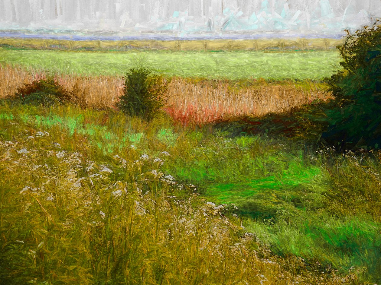 Summer Meadow by Helen White