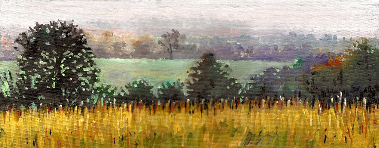 Towards Grazeley, 2012 by Helen White