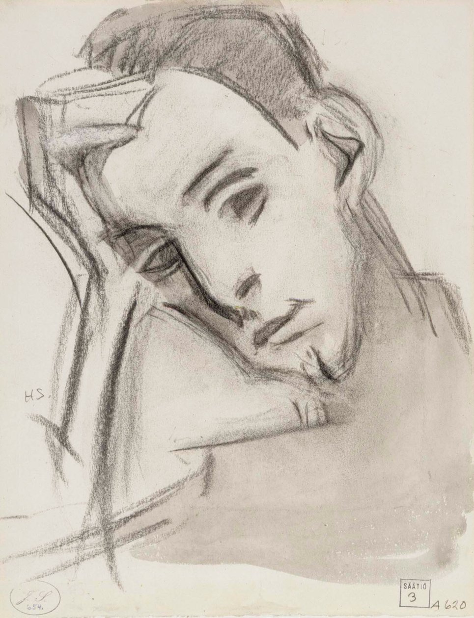The Nephew by Helene Schjerfbeck