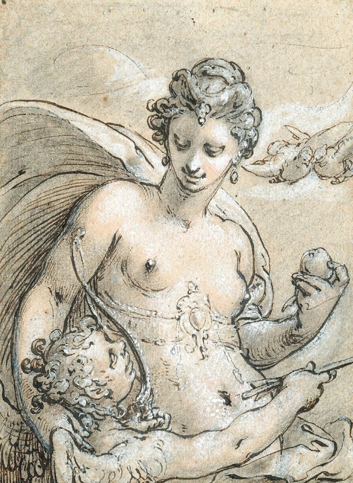 Venus by Hendrik Goltzius