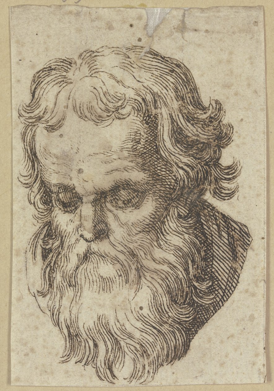 Head of a Bearded Man, Bent Forward by Hendrick Goltzius