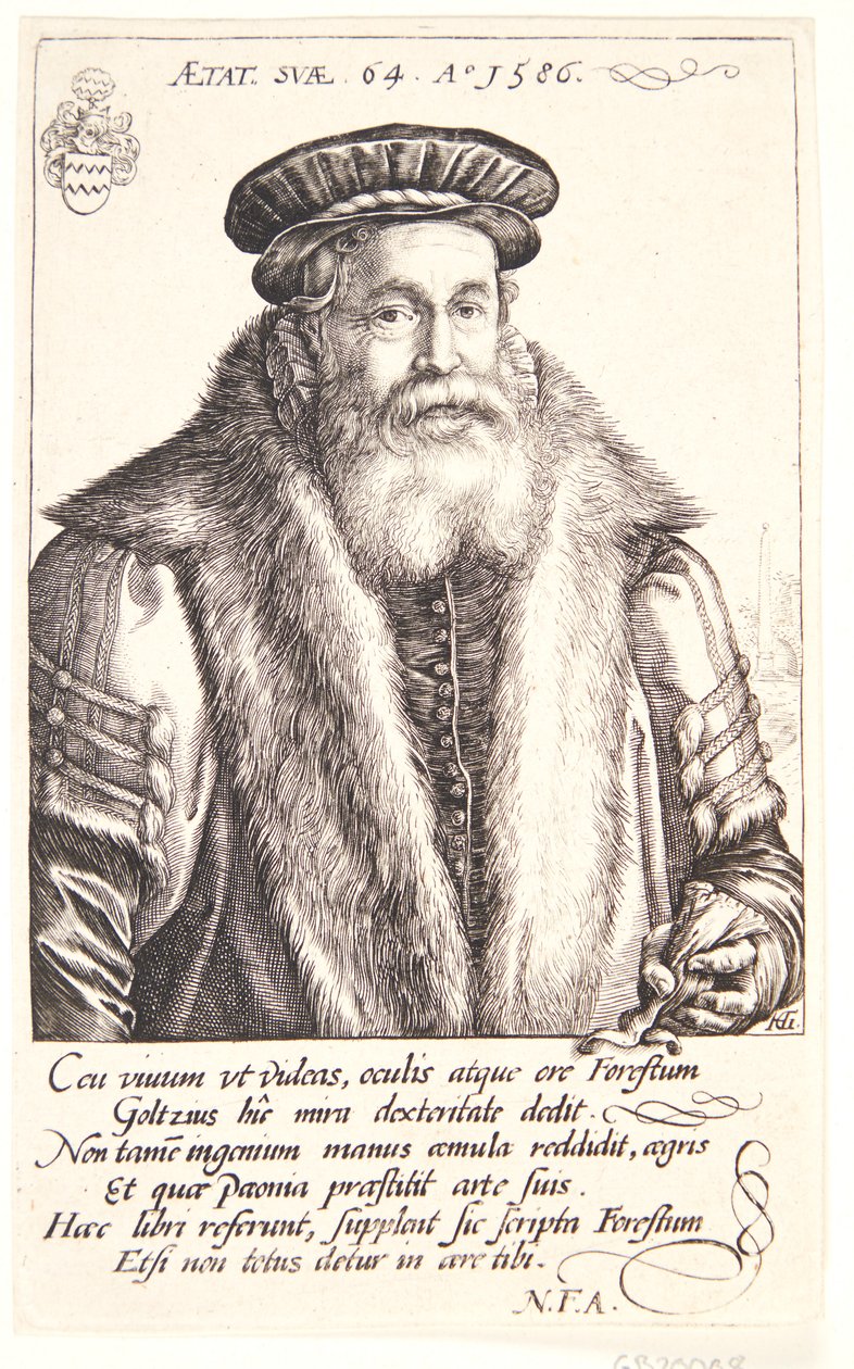 Petrus Forestus by Hendrick Goltzius