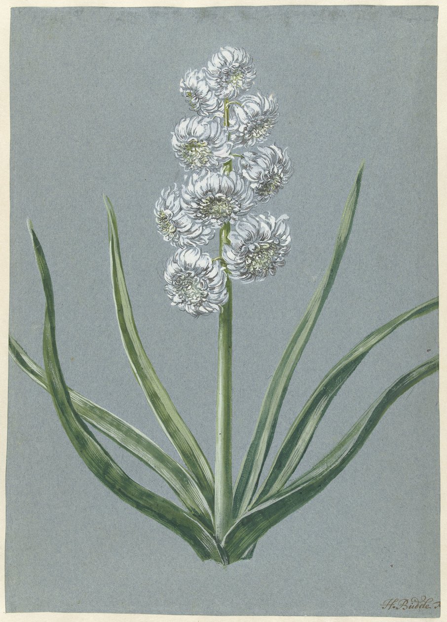 Hyacinth Margrave Charles of Baden Durlach by Hendrik Budde