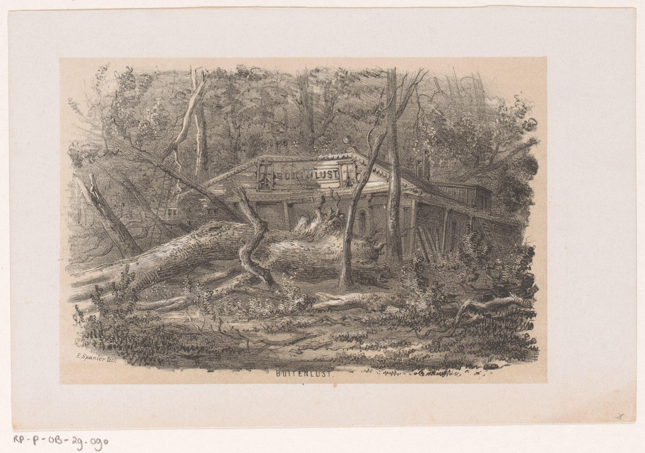 Fallen Tree at Buitenlust, After the Storm of May 28, 1860 (Album of Ten Lithographed Sketches) by Hendrik Wilhelmus Last