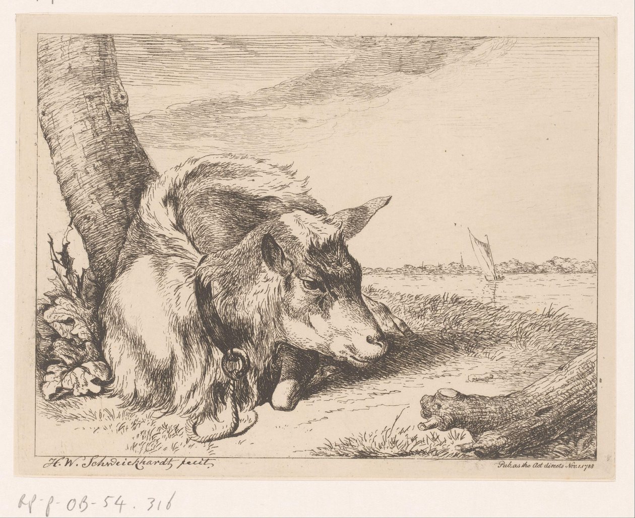 Lying Goat by Water (Various Animals) by Hendrik Willem Schweickhardt